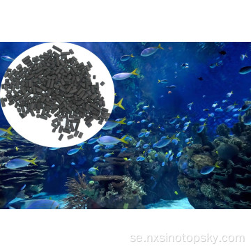 Kolumnar aktivt kol för fisk akvariefilter